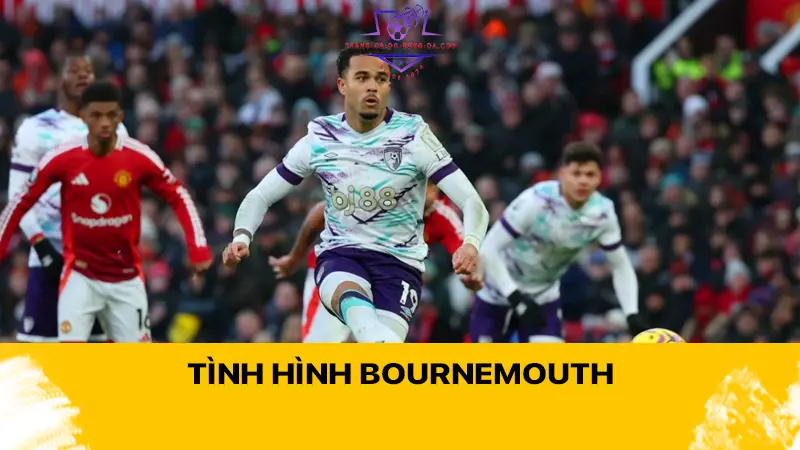 Tình hình Bournemouth