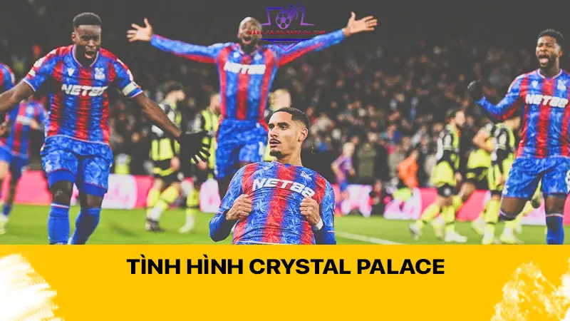 Tình hình Crystal Palace