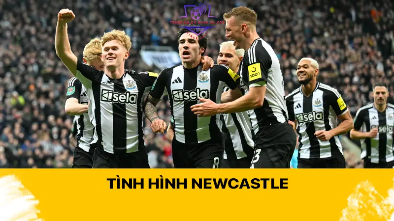 Tình hình Newcastle