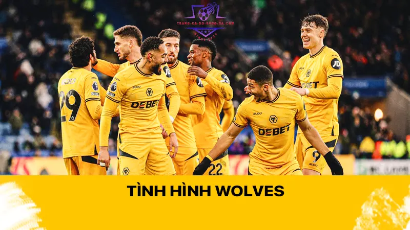 Tình hình Wolves