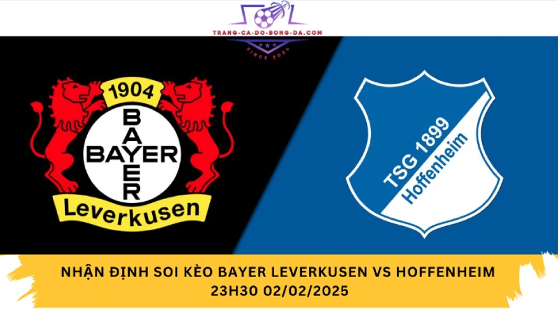 Nhận định soi kèo Bayer Leverkusen vs Hoffenheim 23h30 02/02/2025