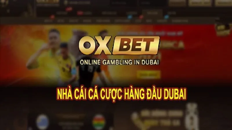 Giới thiệu về nhà cái Oxbet