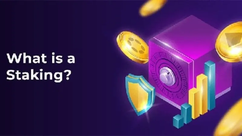 Các ưu điểm của Stake là gì trong cá độ?