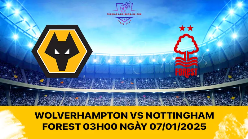 Nhận định Wolverhampton vs Nottingham Forest 03h00 ngày 07/01/2025