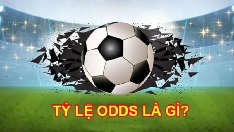 ODDS là gì trong cá độ? Tất tần tật về kèo odds trong bóng đá